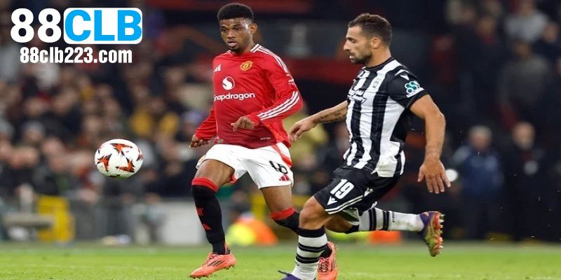 Cách phân tích kèo cược đơn giản cho người chơi mới